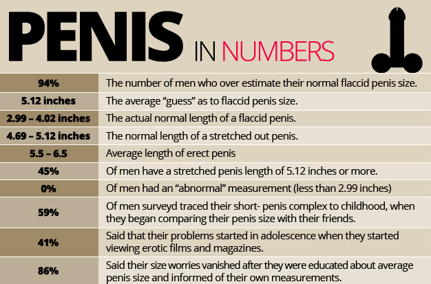 Penis Size Facts 113