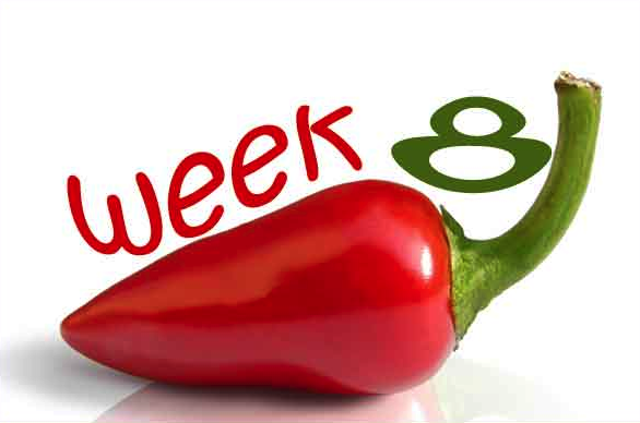 week8 chili