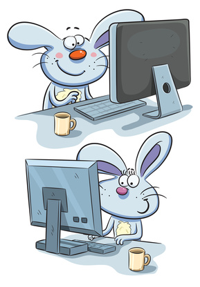 Bunny Networking