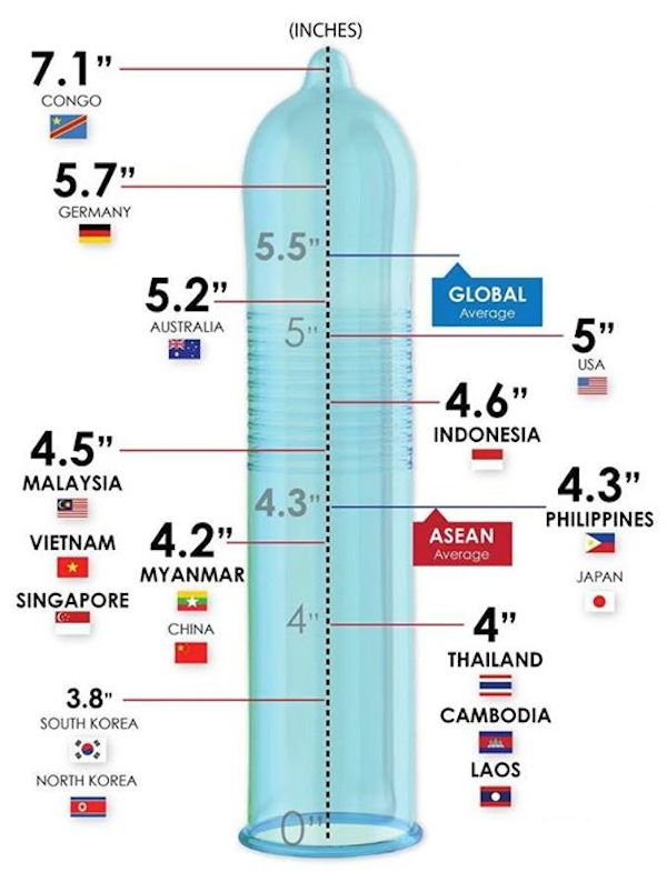 average penis size