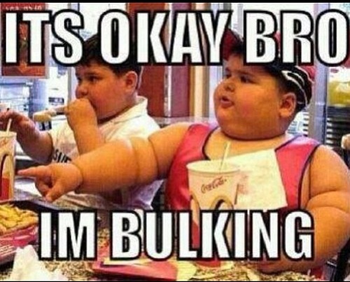 bulking bro