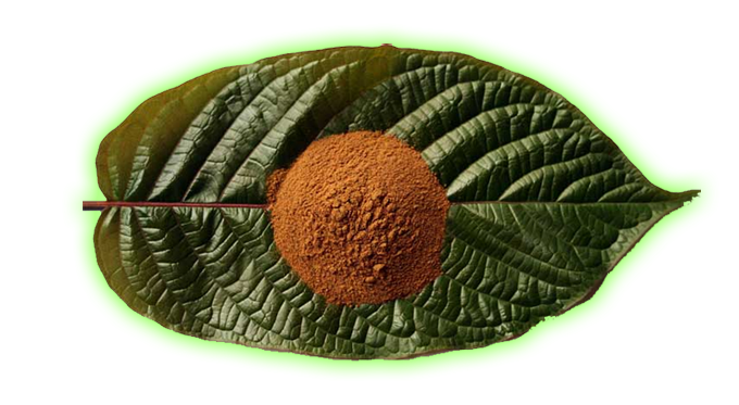 Kratom Leaf