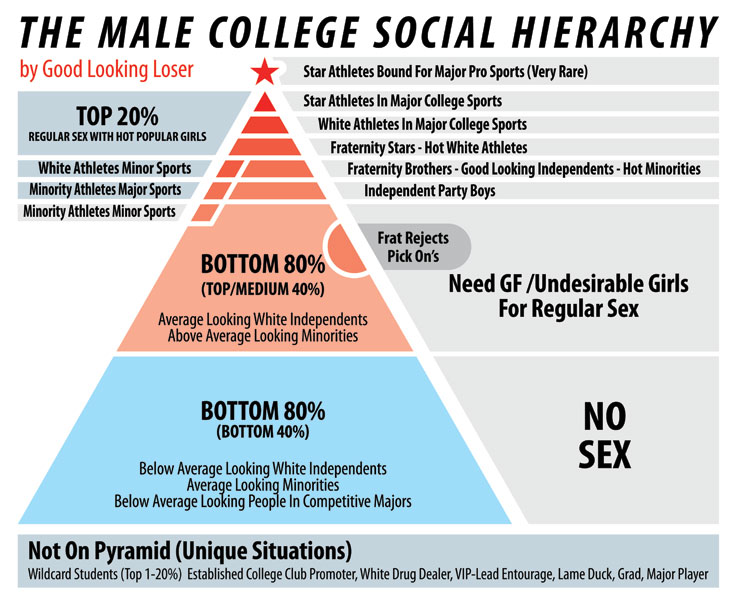 College Social Structure