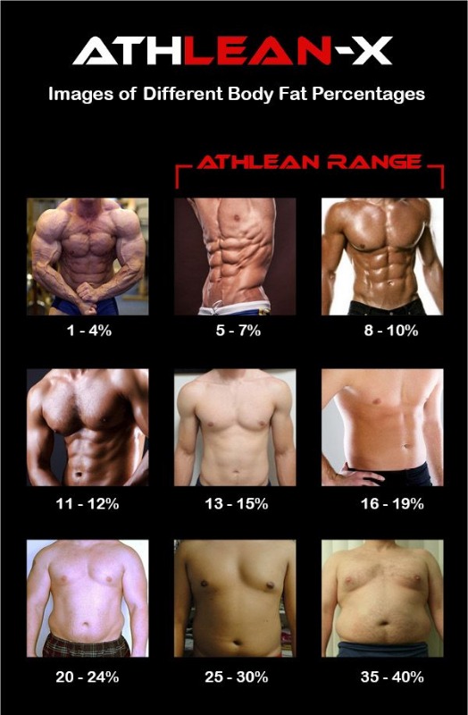 Images-Photos-of-Different-Body-Fat-Percentages_2020-05-24.jpg