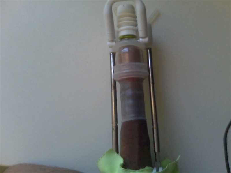 Enlargement penile before and pictures after Enlargement penile before and pictures after