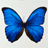 NoStringsAttached's Avatar