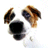 Gizmo's Avatar