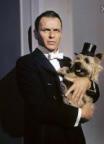 Dogsinatra's Avatar